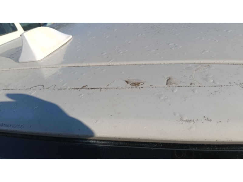 Recambio de porton trasero para volkswagen golf iv (1j1) 1.9 tdi referencia OEM IAM   