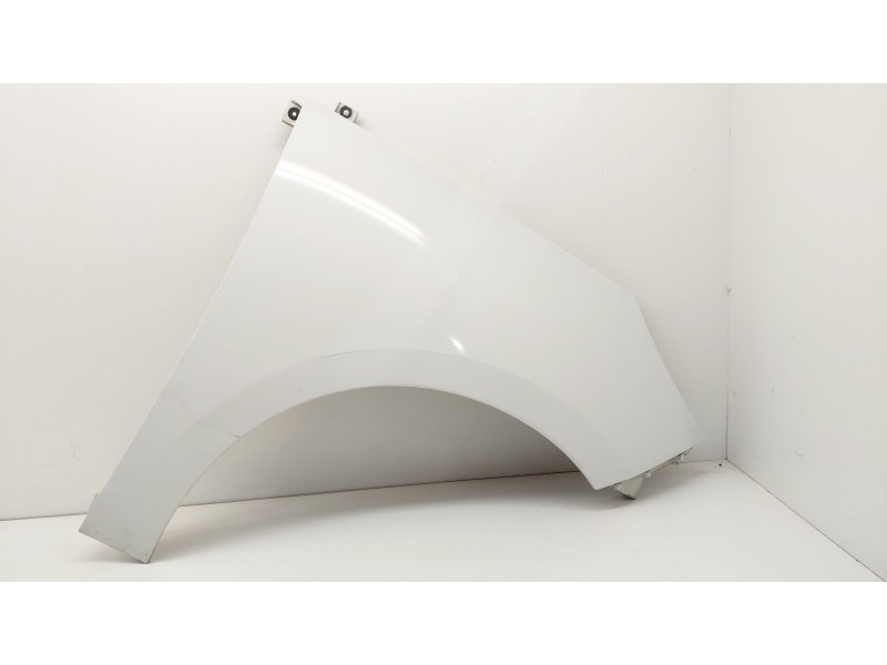 Recambio de aleta delantera derecha para renault scénic iii (jz0/1_) 1.5 dci (jz02, jz0r) referencia OEM IAM   