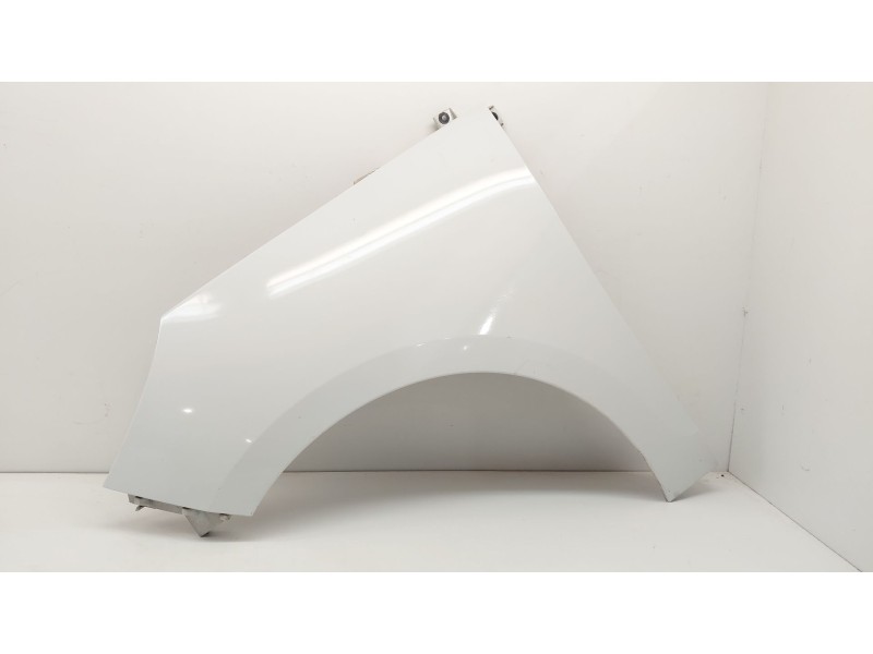 Recambio de aleta delantera izquierda para renault scénic iii (jz0/1_) 1.5 dci (jz02, jz0r) referencia OEM IAM   
							