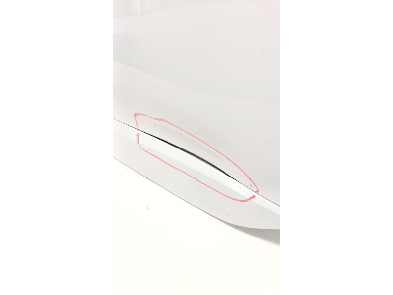 Recambio de puerta trasera izquierda para renault scénic iii (jz0/1_) 1.5 dci (jz02, jz0r) referencia OEM IAM   