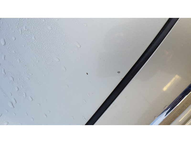 Recambio de capot para toyota avensis (_t25_) 2.0 d-4d (adt250_) referencia OEM IAM   
							