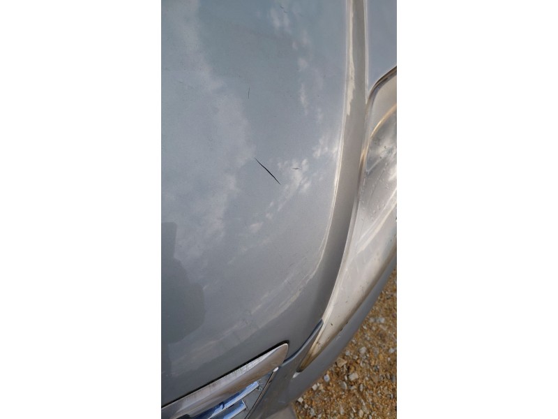 Recambio de capot para ford mondeo iv (ba7) 2.0 tdci referencia OEM IAM   