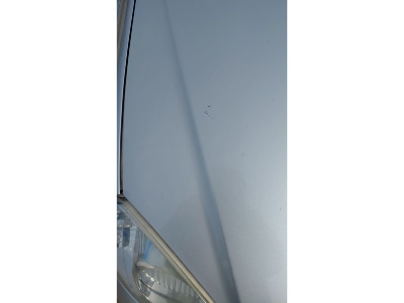 Recambio de capot para tata indica 1.4 elegance referencia OEM IAM   
							