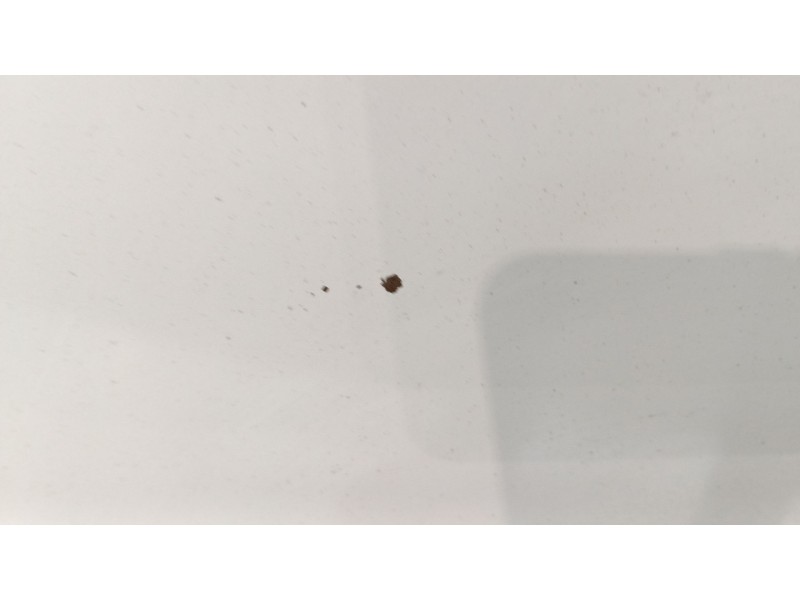 Recambio de capot para volkswagen golf plus v (5m1, 521) 1.6 tdi referencia OEM IAM   