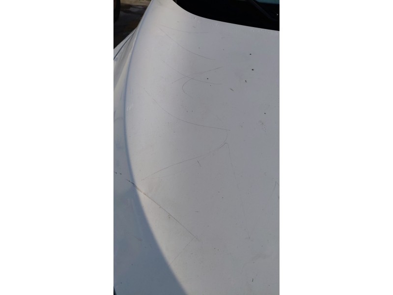 Recambio de capot para renault megane iii hatchback (bz0/1_, b3_) 1.9 dci (bz0n, bz0j) referencia OEM IAM   
							