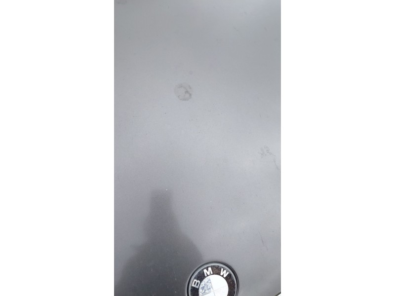 Recambio de capot para bmw 3 touring (e91) 330 d referencia OEM IAM   