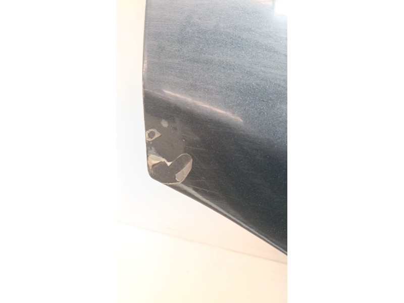 Recambio de puerta trasera derecha para nissan pathfinder (r51) referencia OEM IAM   