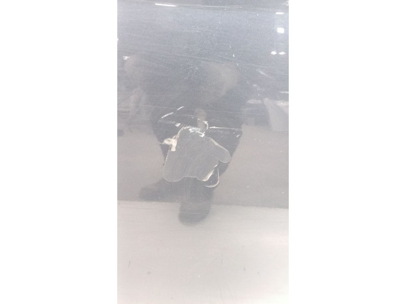 Recambio de puerta delantera derecha para nissan pathfinder (r51) referencia OEM IAM   