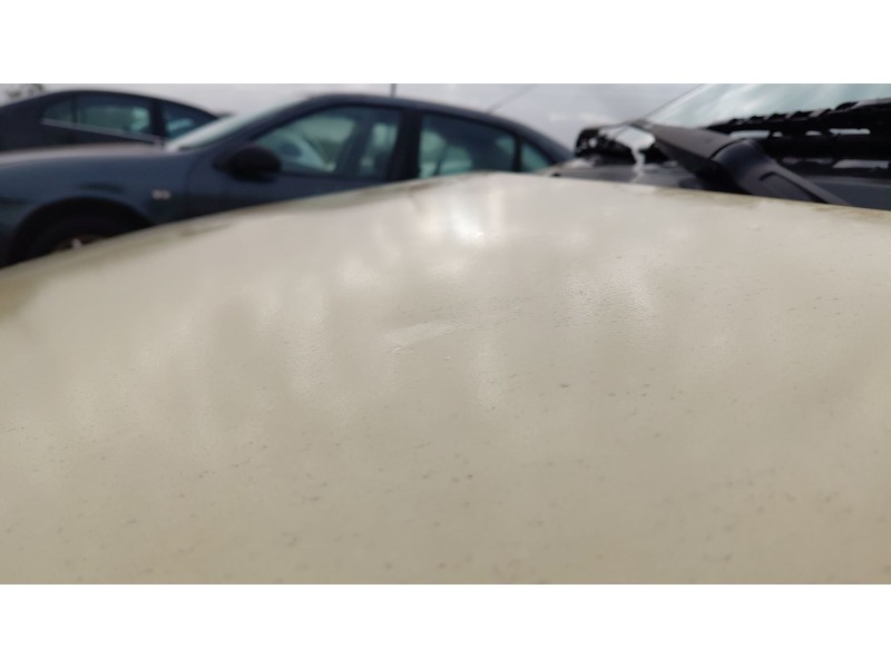 Recambio de capot para fiat panda / panda classic (169_) 1.2 (169.axb11, 169.axb1a) referencia OEM IAM   