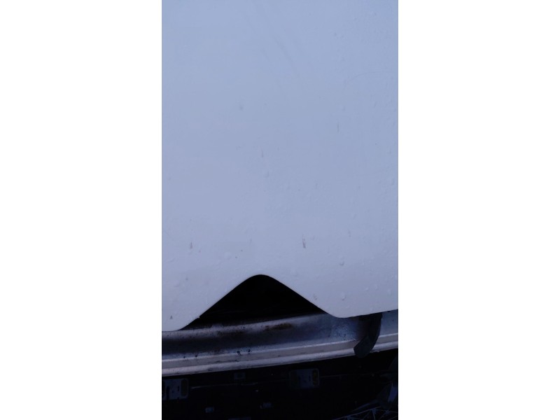 Recambio de capot para citroën c4 ii (nc_) 1.6 hdi 90 referencia OEM IAM   
							