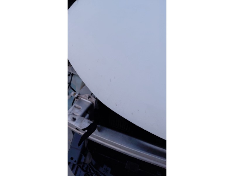 Recambio de capot para citroën c4 ii (nc_) 1.6 hdi 90 referencia OEM IAM   