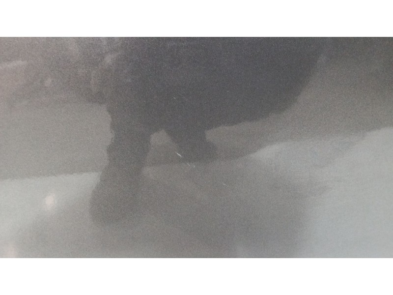 Recambio de puerta trasera derecha para seat ibiza iv (6j5, 6p1) 1.2 tsi referencia OEM IAM   
							