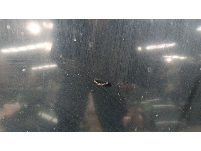 Recambio de capot para lexus gs (gs/us/ws19) gs 300 referencia OEM IAM   
							