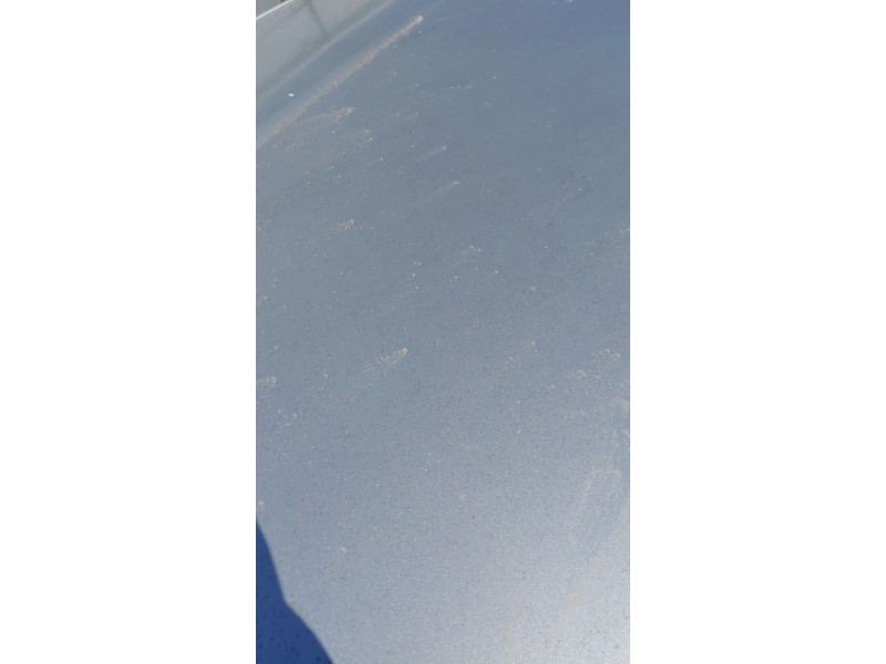 Recambio de capot para citroën c5 ii (rc_) 1.6 hdi (rc8hzb) referencia OEM IAM   
							