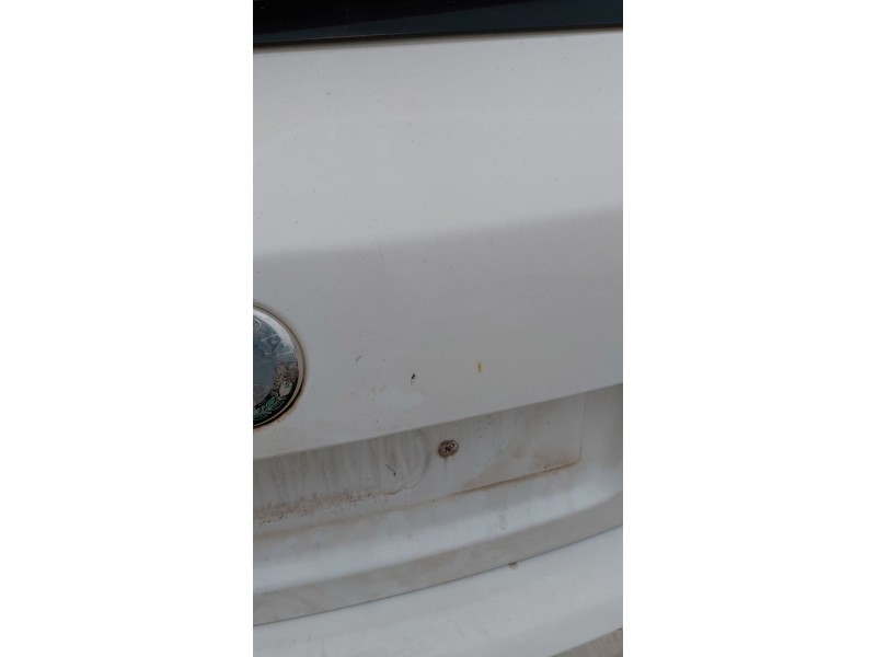 Recambio de porton trasero para skoda fabia ii (542) 1.2 referencia OEM IAM   