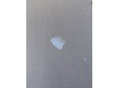 Recambio de capot para lancia lybra (839_) 1.8 16v (839axb1a, 839axg1a) referencia OEM IAM    2