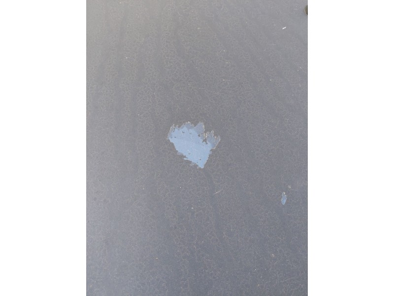 Recambio de capot para lancia lybra (839_) 1.8 16v (839axb1a, 839axg1a) referencia OEM IAM   
							