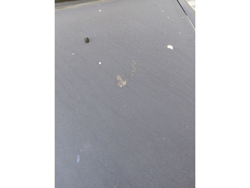 Recambio de capot para lancia lybra (839_) 1.8 16v (839axb1a, 839axg1a) referencia OEM IAM   