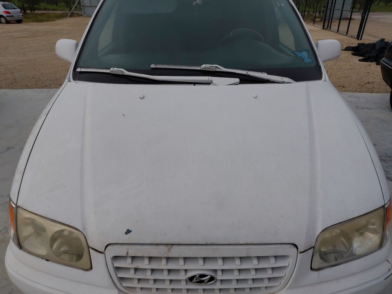 Recambio de capot para hyundai trajet (fo) 2.0 referencia OEM IAM   