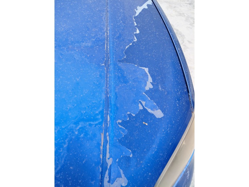 Recambio de capot para mazda 3 sedán (bk) 1.6 di turbo (bk12y) referencia OEM IAM   
							