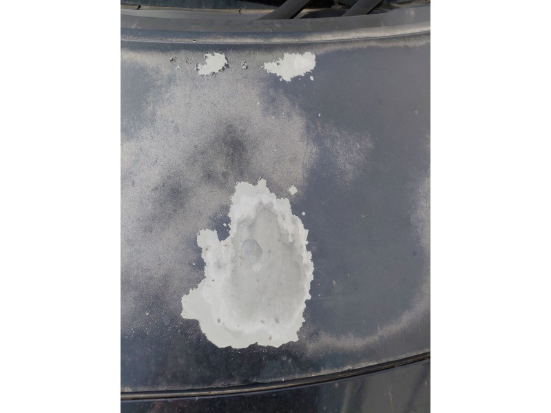 Recambio de capot para renault scénic ii (jm0/1_) 1.5 dci (jm1f) referencia OEM IAM   