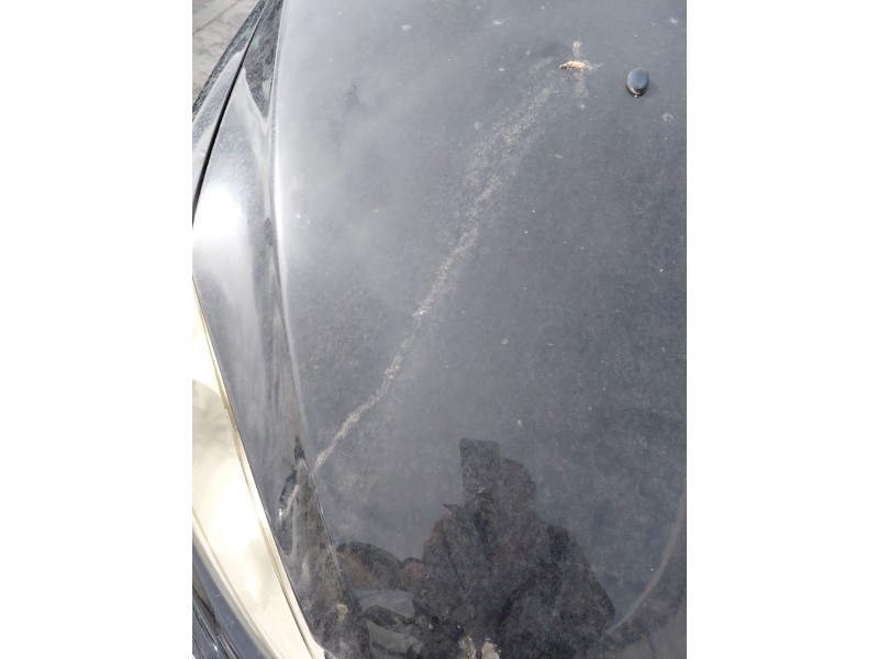 Recambio de capot para peugeot 307 sw (3h) 2.0 hdi 135 referencia OEM IAM   
							