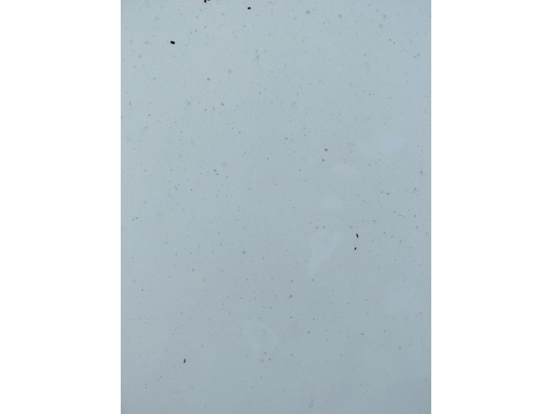 Recambio de capot para ford focus iii 1.0 ecoboost referencia OEM IAM   