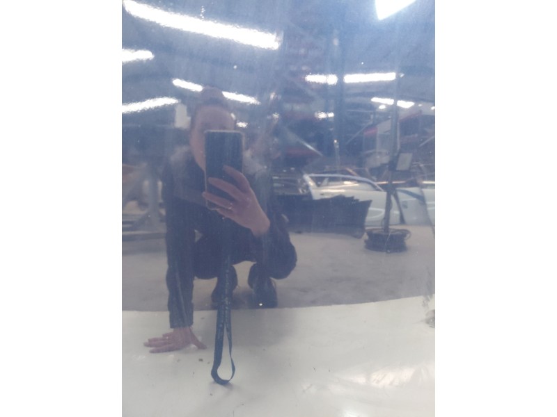 Recambio de capot para volkswagen passat b6 (3c2) 2.0 tdi 16v referencia OEM IAM   
							