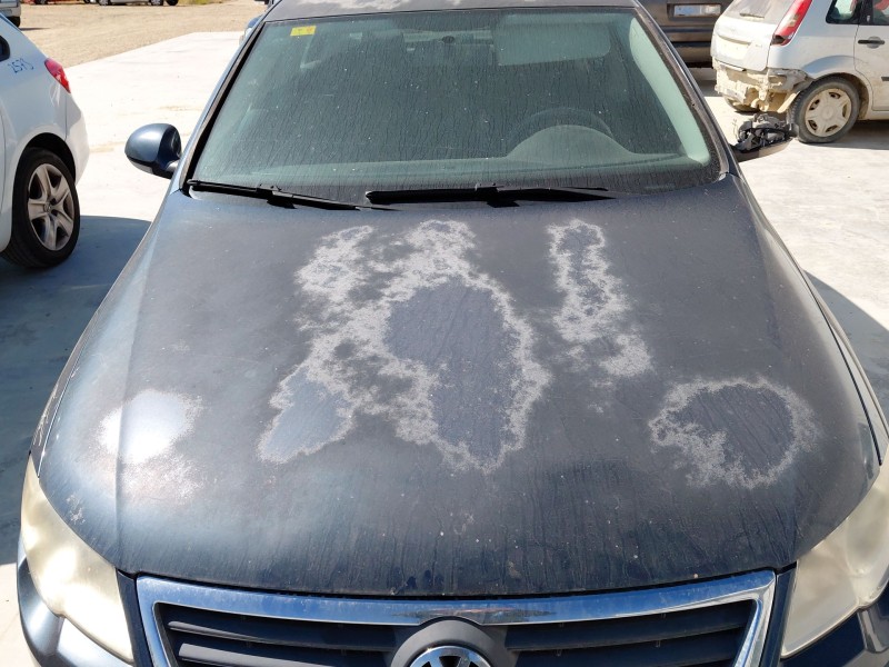 Recambio de capot para volkswagen passat b6 (3c2) 1.9 tdi referencia OEM IAM   