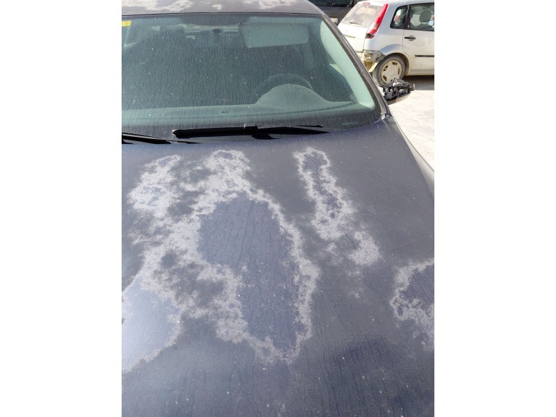 Recambio de capot para volkswagen passat b6 (3c2) 1.9 tdi referencia OEM IAM   
							