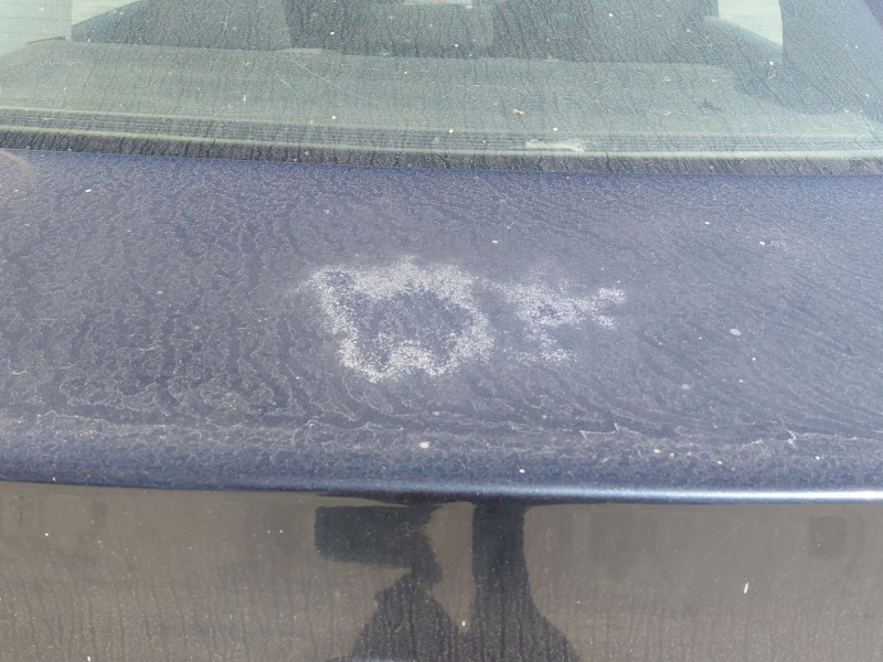 Recambio de porton trasero para volkswagen passat b6 (3c2) 1.9 tdi referencia OEM IAM   