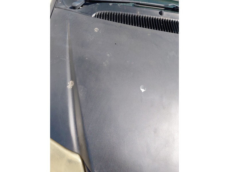 Recambio de capot para chrysler voyager iv (rg, rs) 2.8 crd referencia OEM IAM   