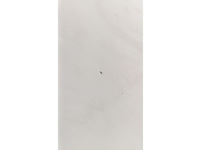 Recambio de puerta delantera derecha para ford focus iii 1.0 ecoboost referencia OEM IAM   