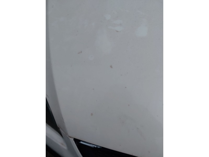 Recambio de capot para ford focus ii (da_, hcp, dp) 1.8 tdci referencia OEM IAM   
							