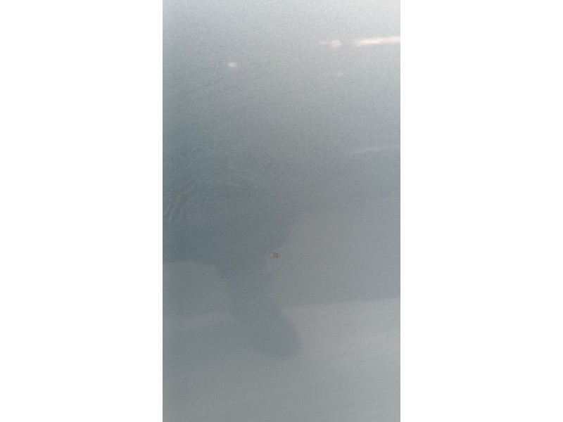 Recambio de puerta trasera derecha para ssangyong korando (ck) 2.0 e-xdi referencia OEM IAM   