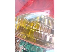 Recambio de piloto trasero izquierdo para ssangyong korando (ck) 2.0 e-xdi referencia OEM IAM 8360134   2