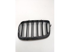 Recambio de calandra delantera de radiador para bmw x5 (e70) 3.0 d referencia OEM IAM    2