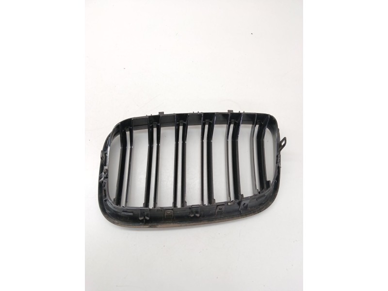 Recambio de calandra delantera de radiador para bmw x5 (e70) 3.0 d referencia OEM IAM   