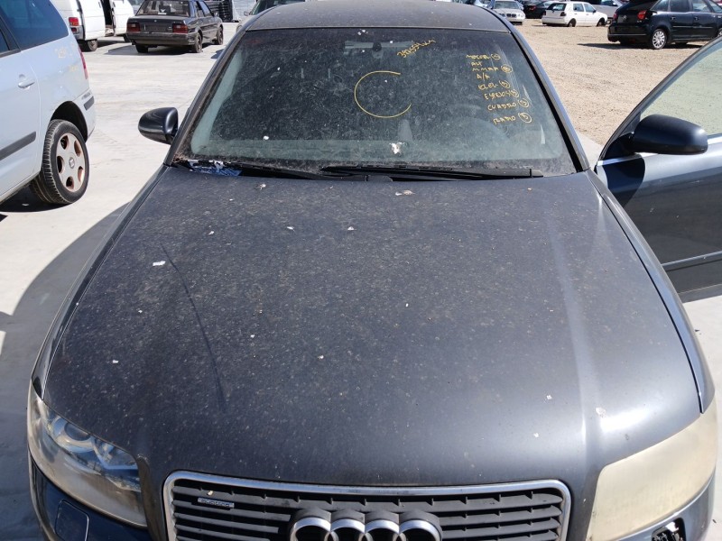 Recambio de capot para audi a4 b6 (8e2) 1.9 tdi referencia OEM IAM   