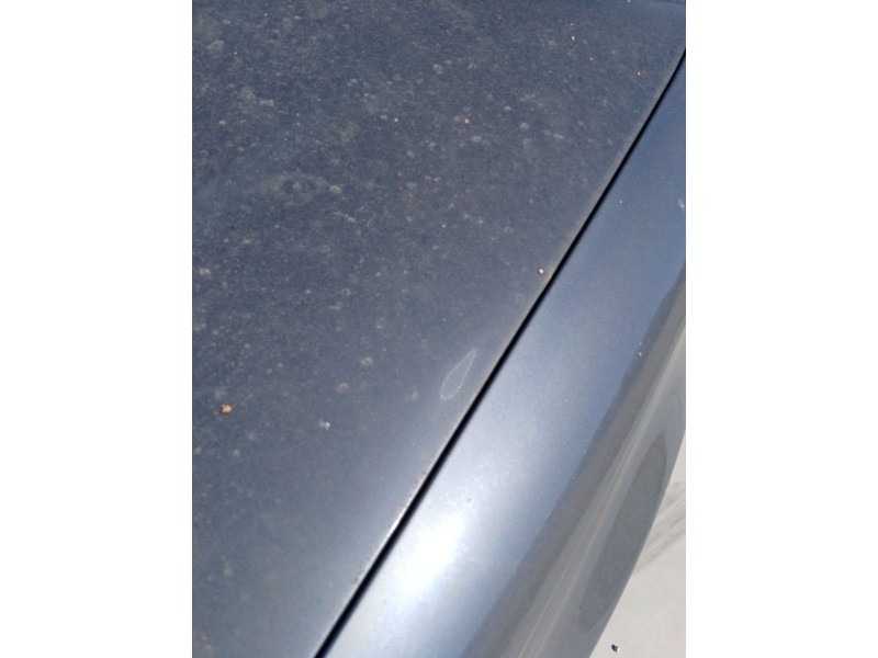 Recambio de capot para audi a4 b6 (8e2) 1.9 tdi referencia OEM IAM   