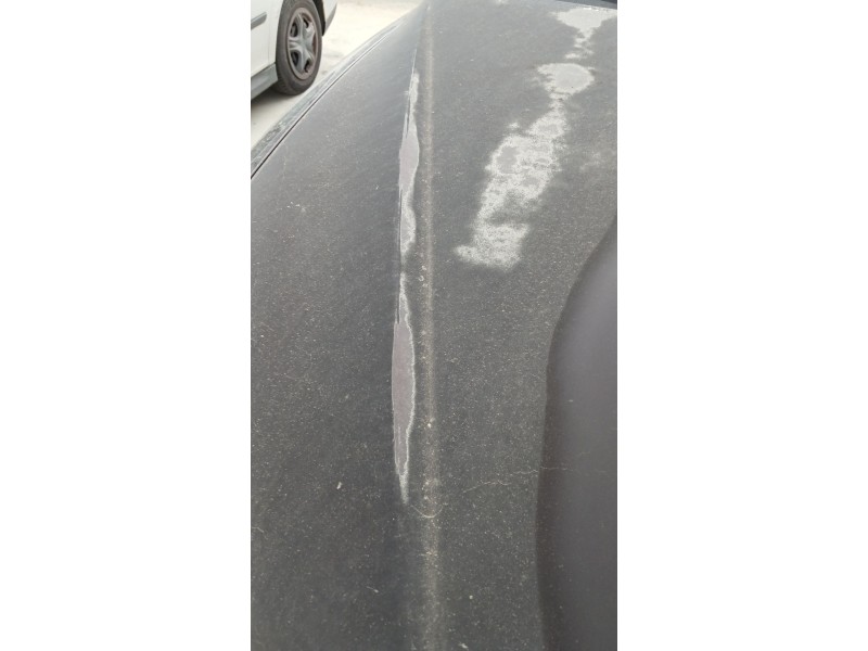 Recambio de capot para hyundai santa fé ii (cm) 2.2 crdi 4x4 referencia OEM IAM   
							