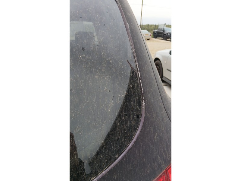 Recambio de porton trasero para hyundai santa fé ii (cm) 2.2 crdi 4x4 referencia OEM IAM   
							