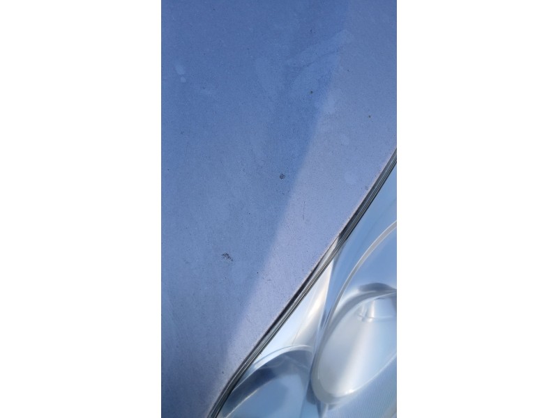 Recambio de capot para peugeot 407 sw (6e_, 6d_) 2.0 hdi 135 referencia OEM IAM   