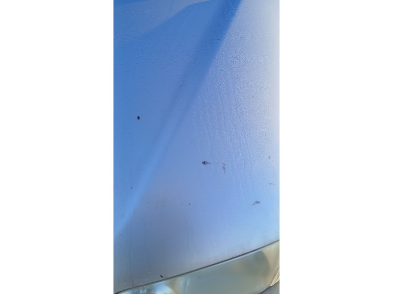 Recambio de capot para hyundai h-1 furgoneta (a1) 2.5 crdi referencia OEM IAM   
							