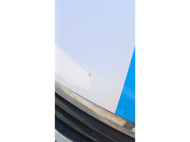 Recambio de capot para dacia lodgy (js_) 1.5 dci referencia OEM IAM   
							