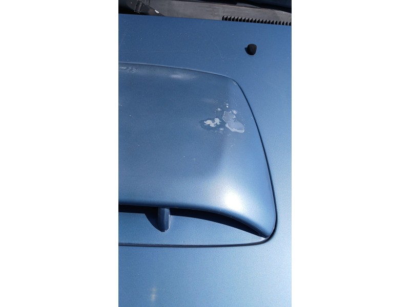 Recambio de capot para hyundai santa fé i (sm) 2.0 crdi 4x4 referencia OEM IAM   
							