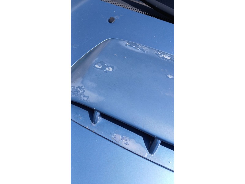 Recambio de capot para hyundai santa fé i (sm) 2.0 crdi 4x4 referencia OEM IAM   