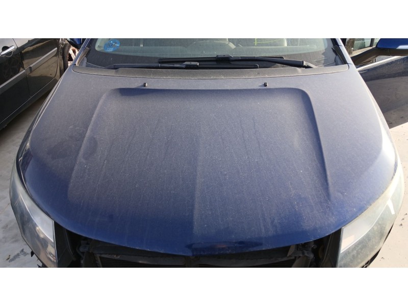 Recambio de capot para opel ampera (r12) ev 150 referencia OEM IAM   