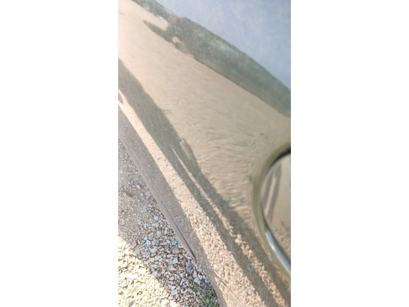 Recambio de puerta trasera izquierda para fiat panda (312_, 319_) 1.3 d multijet 4x4 (312pxl1a) referencia OEM IAM   