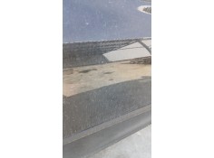 Recambio de puerta trasera derecha para renault clio iii (br0/1, cr0/1) 1.5 dci referencia OEM IAM    2